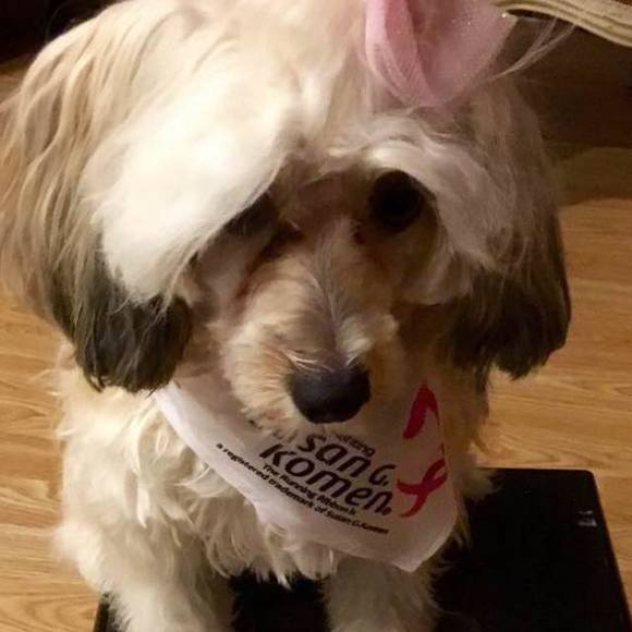 Meet your Posher, Hope - Picture 1 of 1